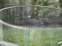 ROYALES DE CHAMPAGNE CRYSTAL CLEAR GLASS VERSAILLES WINE GLASSES HARD TO FIND