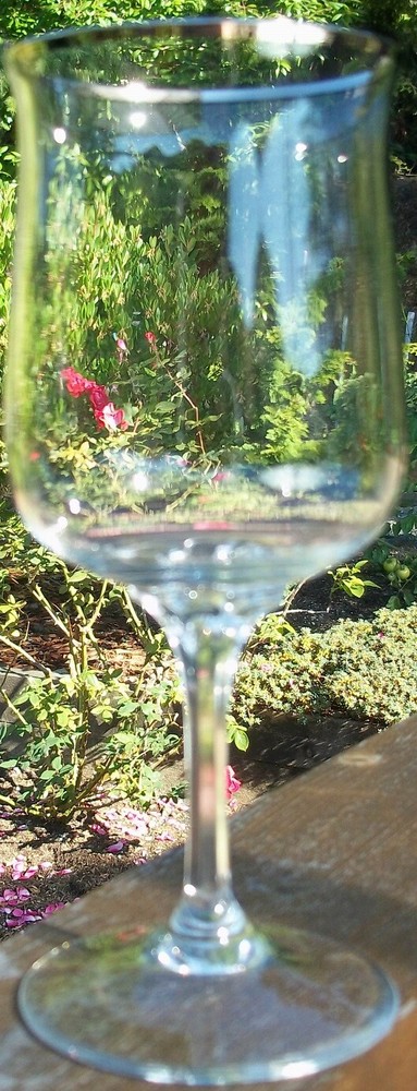 LENOX DESIRE WATER GOBLET 7″ high 2 7/8″ across top