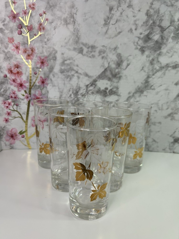 6 Vintage Golden Foliage Grapevine Gold Leaf Highball Glasses Frosted MCM 1960s
