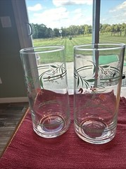Corelle Rosemarie Flower Pattern Glasses 16 Oz. Lot Of 2