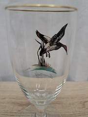 VTG 1950’s Carwin Cordial Glass Painted Wild Game «CANVAS BACK» Gold Rim