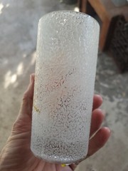 1 x Vintage Frosted texture Pebble Drinking Glass Tumbler with Pheasants Flying