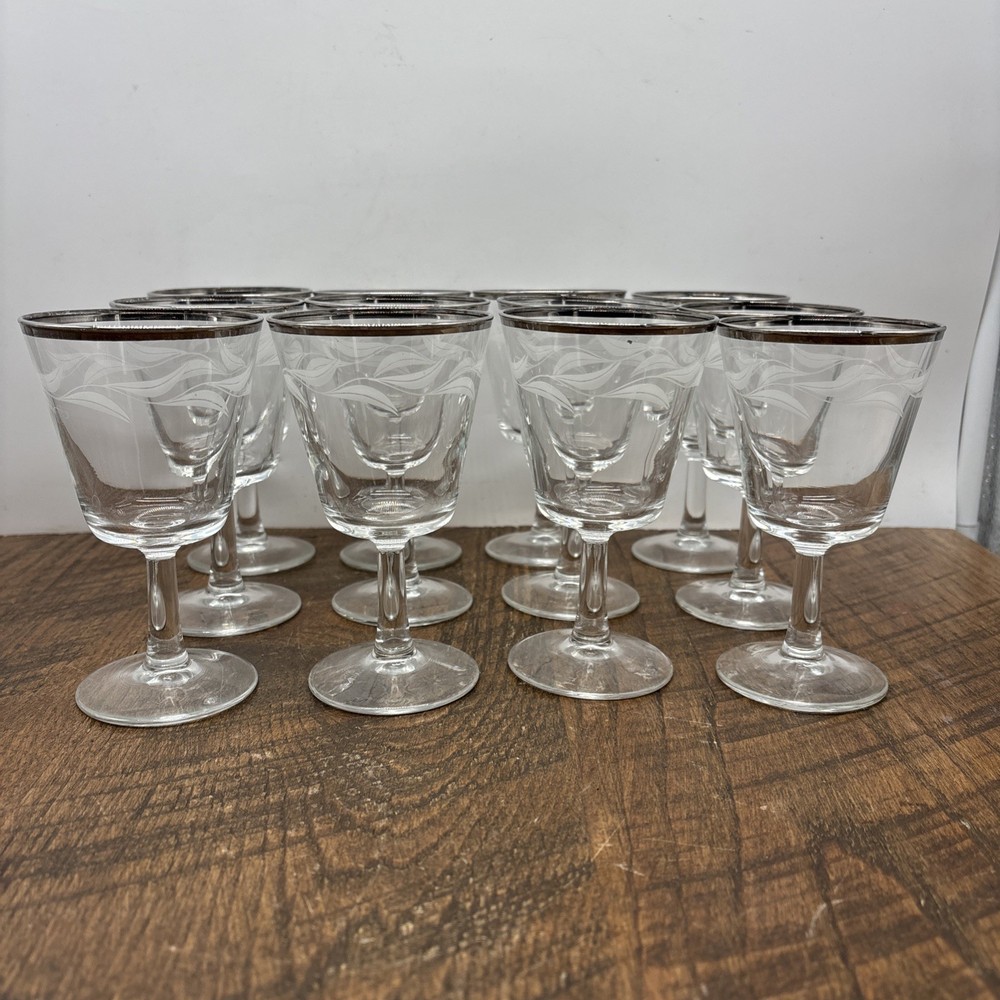 VTG Set of 5 Etched Laurel Leaf Aperitif Glasses Clear w/Silver Rims France 5”