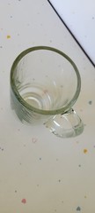 Vintage Plant Drinking Glass Heavy Sturdy Clear Novelty Cup