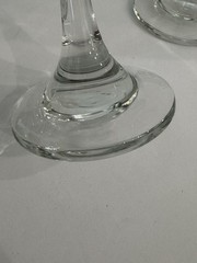 Vintage Floral Roses Wine Glass Glasses Champagne Flute Set of 4