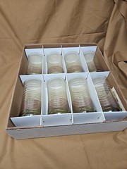 Set of 8 Libbey Striped Glasses Tumblers 12 oz