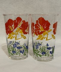 2 VTG Swanky Swigs Federal Glass Tumblers Red Yellow Hibiscus Blue Flowers Vines