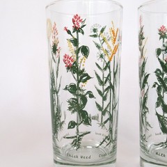 Pair Neiman Marcus weed wildflower drinking glasses clear tall flower botanical