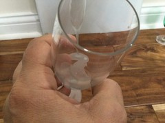 2 Crystal Glas Champagne Flute Cocktail FROSTED BIRD Dove 9-7/8″