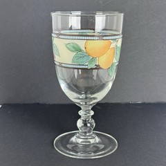 Intaglio Garden Harvest Water Goblet by Mikasa – 7″