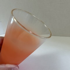 West Virginia BLENDO Frosted Orange Tumbler Glass Gold Rim Replacement MCM