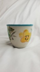 The Pioneer Woman Floral Stoneware Coffee Mug Teal Handle Dishwasher Microwave