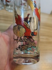 Vintage MCM Red Gold Ringneck Pheasant Tall Barware Glasses Set of 3
