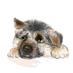 Coffee Mugs with Full Color Dog Print