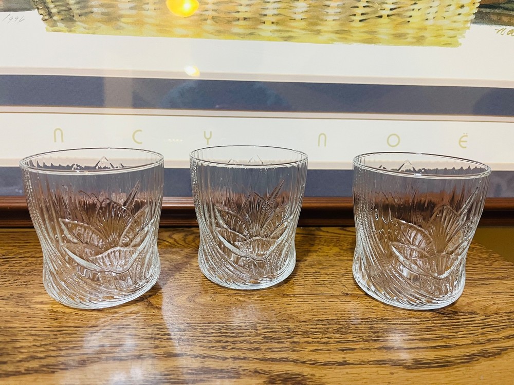Set of 2 Arcoroc Canterbury Crocus Vintage 10 oz Tumbler Made In France 3.5″