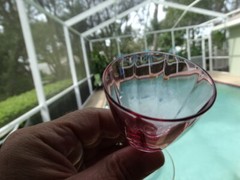 German Cranberry Blown Glass Panel Optic 1.5oz Cordial Stem Multiples Available