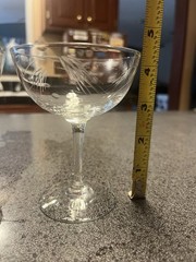 Vintage Etched Crystal Champagne Coupe Floral & Leaf ABP Etched Pattern