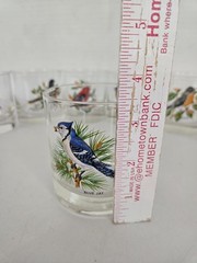 8 Vintage West Virginia Glass Co. Song Birds 3.5″ Drinking Glasses FREE SHIPPING