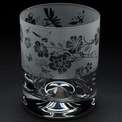 Whiskey Glass Decorated Ladybird Sandblast Animal Drink Tumbler Gift Box Animo