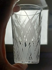 English Stourbridge Engraved Bee & White Juice Tumbler Glass Circa 1880-1900