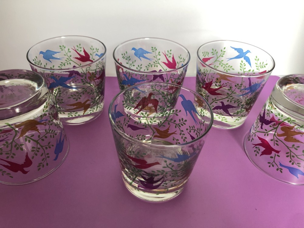 Vintage Libby Drinking Glasses Colorful Flying Birds Rocks Glass Lot of 6 – Rare