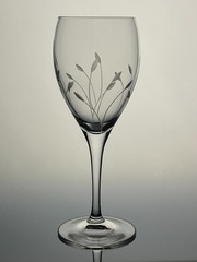 Beautiful GARDEN MIST by Princess House Crystal Wine Glass 7 3/4″ EUC
