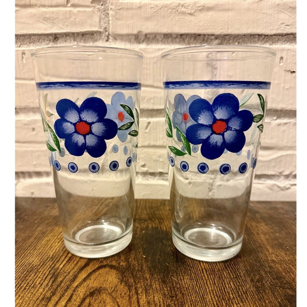 Libbey Blue Floral Decorated Tumbler Glasses Two-Piece Set, 6″ x 3″