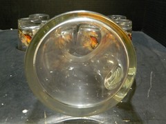 Vintage (9) Piece Virginia Glass Pheasant Old Fashioned Pitcher Set Excellent