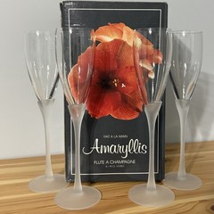 Colony Amaryllis Satin Champagne Flutes Clear Glass Frosted Stem 4 – 6oz in Box