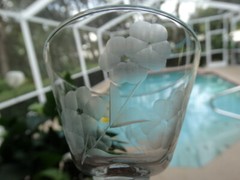 Mid Century Modern Libbey Clear Liquor Cocktail Embassy Gray Cut Glass Floral