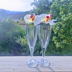 Bohemia Crystal Champagne Flutes Hand Cut «VICTORIA» Collection Set of 2