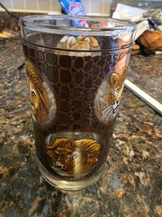 Vtg Libbey African Safari Animals Textured Highball Glass Flat Tumbler Set of 8