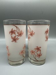 VTG Frosted Floral Tumblers Set 4 Peach Tiger Lily Glasses 12 oz Retro Barware