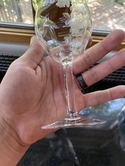 VINTAGE Raised Etched Roses Clear Glass Water Goblet 6.75″H