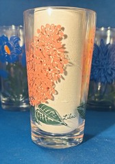 VTG Set of ✨12 ✨Boscul Peanut Butter Glasses MCM Floral Tumblers UNUSED MINT