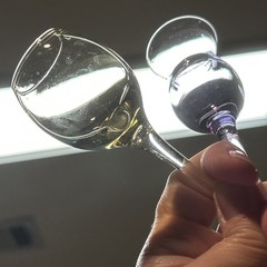 Set of 4 Mixed Color Hand-Blown Cordial Glasses: Amber/Red/Purple/Plum