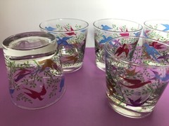 Vintage Libby Drinking Glasses Colorful Flying Birds Rocks Glass Lot of 6 – Rare