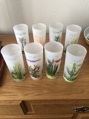 Vintage Blakely Oil & Gas Arizona Cactus Frosted Glasses Highball Full Set of 8