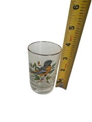 West Virginia Glass American Songbirds Painted Pitcher + 5 glasses Gold Trim