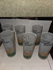 Vintage Mcm Michigan Sportsman Frosted Barware Highball Souvenir Glasseshunting