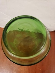 Libbey Belaire Impromptu Fern Print Green Glass Vintage 1978, 1 replacement