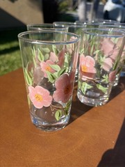 Franciscan Desert Rose juice Glasses Pink Floral Tumblers Set of 8