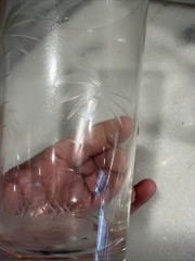 Vintage Set Of 4 Wells Hand Blown Etched Sunset Palm Collection HiBall Glasses