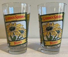 VTG LIBBEY Garden Seeds Flower Glasses Daisy Petunia Phlox SET OF 2 RARE