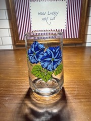 Vintage Brockway Flower of the Month Glass Tumbler September ~ Morning Glory