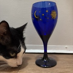 Libbey Glass Company Celestial Cobalt Blue Sun Moon Stars Water Goblet