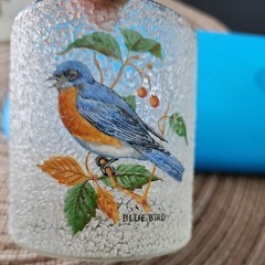 2 Vintage West Virginia Textured Songbird Glasses 1 Blue bird And 1 Robin