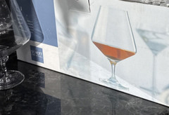 Schott Zwiesel Cognac Brandy Glasses Set Of 2 Box Not Included