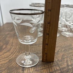 VTG Set of 5 Etched Laurel Leaf Aperitif Glasses Clear w/Silver Rims France 5”