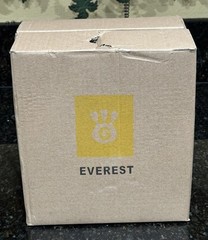 EVEREST 6 Stunning Gold Leaf Decal Champagne Flutes/ Wine Glasses 9 .75” High